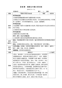 小学科学教科版 (2017)六年级上册6.观察水中微小的生物表格教学设计