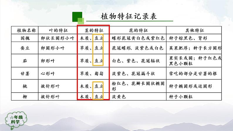 新人教鄂教版科学六上：2.4 植物的简单分类（2课时） PPT课件+视频02