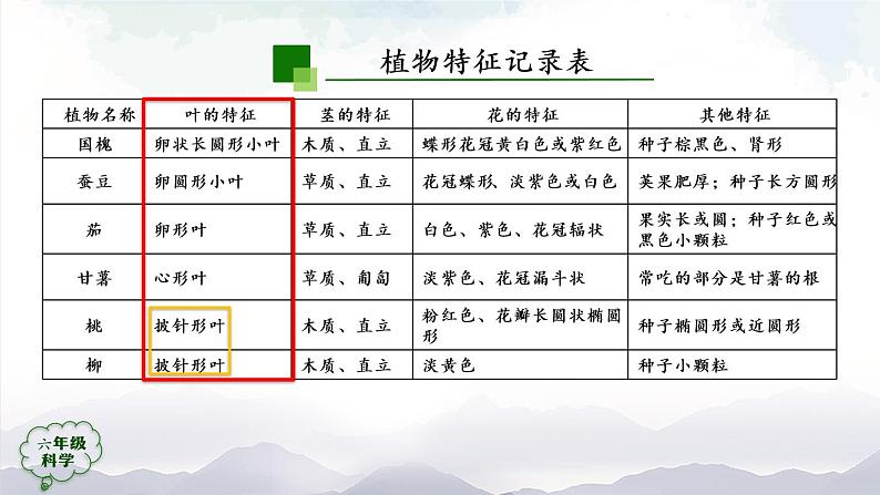 新人教鄂教版科学六上：2.4 植物的简单分类（2课时） PPT课件+视频04