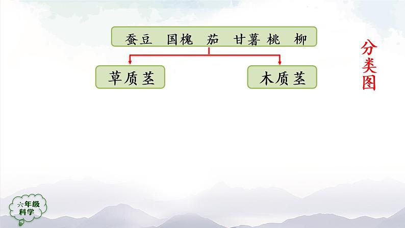 新人教鄂教版科学六上：2.4 植物的简单分类（2课时） PPT课件+视频07