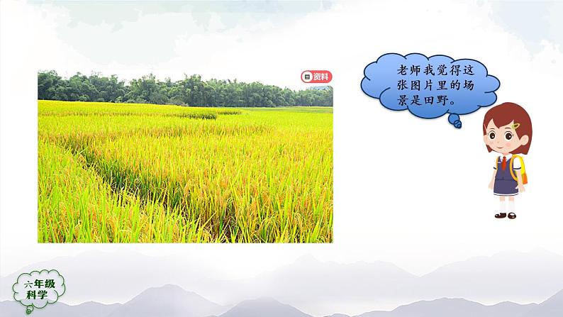 新人教鄂教版科学六上：2.4 植物的简单分类（2课时） PPT课件+视频02