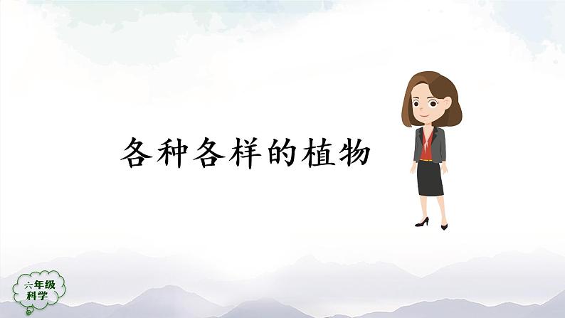 新人教鄂教版科学六上：2.4 植物的简单分类（2课时） PPT课件+视频03