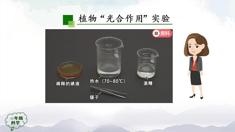 新人教鄂教版科学六上：2.5 植物的光合作用（2课时） PPT课件+视频02