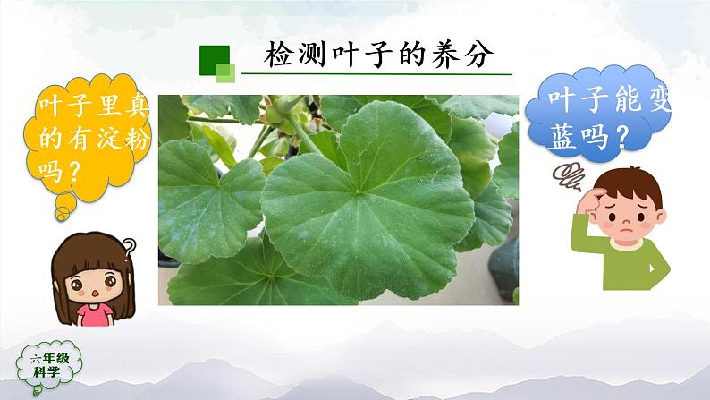 新人教鄂教版科学六上：2.5 植物的光合作用（2课时） PPT课件+视频03