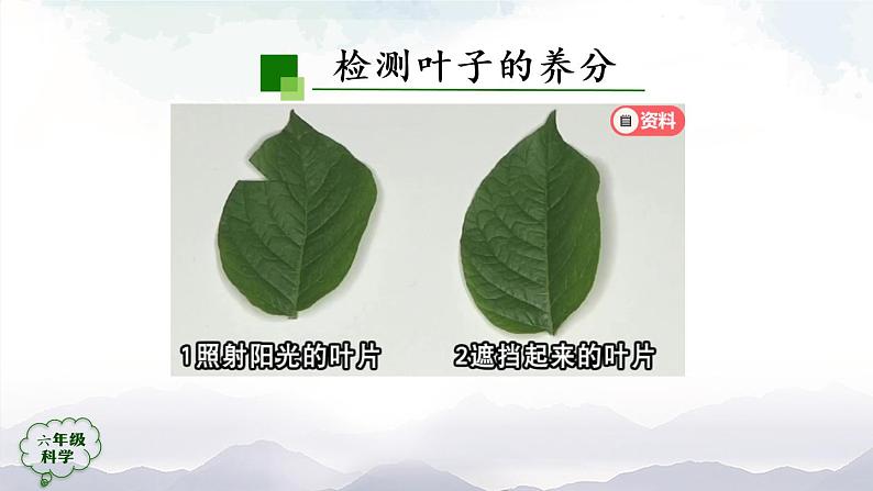 新人教鄂教版科学六上：2.5 植物的光合作用（2课时） PPT课件+视频06