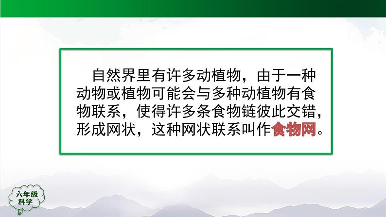 新人教鄂教版科学六上：2.6 食物链（2课时）PPT课件03