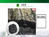 新人教鄂教版科学六上：4.13 煤、石油和天然气PPT课件+视频