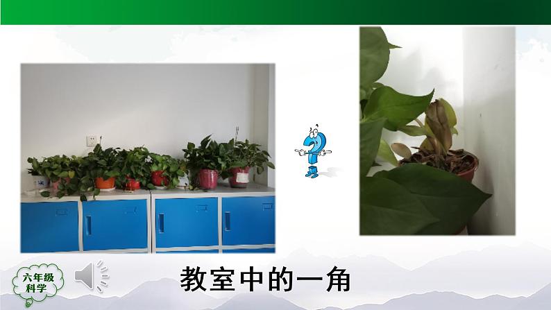 新人教鄂教版科学六上：5.17 设计与建造“植物工厂”（第1课时）PPT课件+教案+练习+任务单03