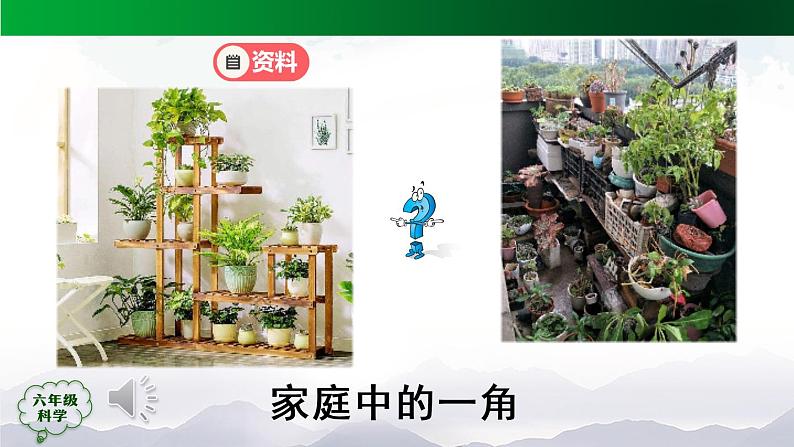 新人教鄂教版科学六上：5.17 设计与建造“植物工厂”（第1课时）PPT课件+教案+练习+任务单05