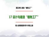 新人教鄂教版科學(xué)六上：5.17 設(shè)計(jì)與建造“植物工廠”（第2課時(shí)）PPT課件+教案+練習(xí)+任務(wù)單