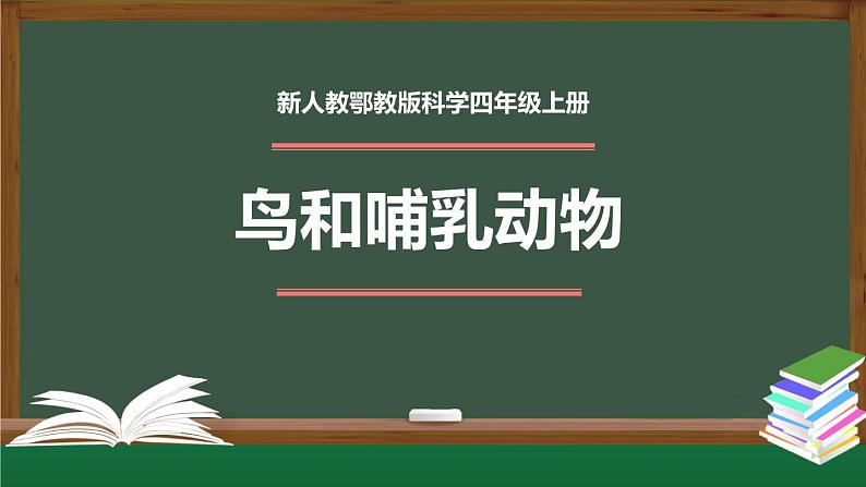 鸟和哺乳动物 PPT课件+内嵌视频第1页