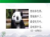 新人教鄂教版科学四上：1.3 我国的珍稀动物 PPT课件+内嵌视频