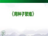 新人教鄂教版科学四上：2.4 用种子繁殖（3课时）PPT课件+内嵌视频