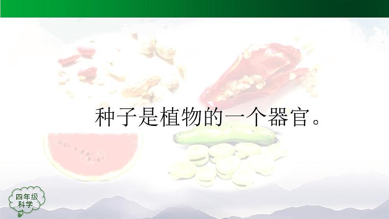 新人教鄂教版科学四上：2.4 用种子繁殖（3课时）PPT课件+内嵌视频08