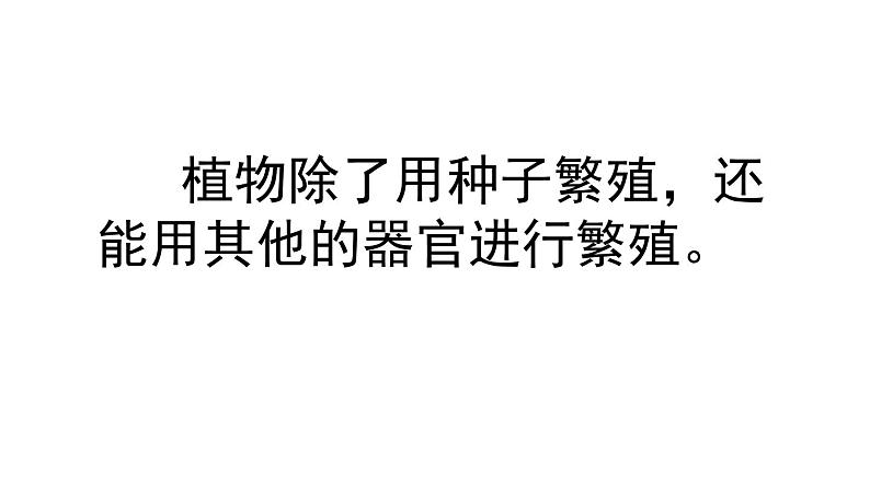 新人教鄂教版科学四上：2.5 不用种子怎样繁殖 PPT课件08