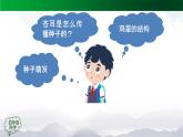 新人教鄂教版科学四上：第二单元 动植物的繁殖 单元回顾PPT课件