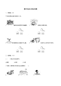 教科版科学二年级上册期中综合全练全测（含答案解析）