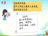 大象版 (2017) 二年級(jí)上冊(cè) 準(zhǔn)備單元這是誰(shuí)的腳  課件 （含視頻）