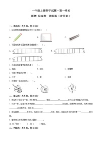 教科版 (2017)一年级上册植物综合与测试课时训练