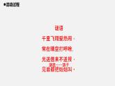 青島版 四年級科學(xué)上冊 3.《鳥》課件