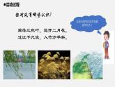 青岛版 四年级科学上册 10.《风的形成》课件