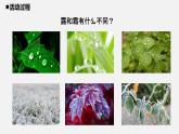 青岛版 五年级科学上册 6.《露和霜》课件