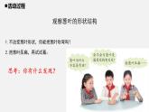 青岛版 五年级科学上册21《生物的启示》课件