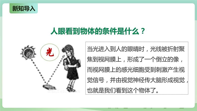 新粤教版科学六上：1.1《为什么能看到物体》PPT课件+教案+练习+视频素材04