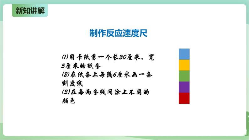 新粤教版科学六上：3.14《测试我们的反应》PPT课件+教案+练习+视频素材05