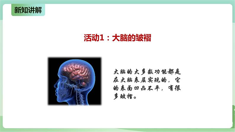 新粤教版科学六上：3.15《大脑的作用》PPT课件+教案+练习+视频素材06