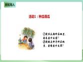 新粤教版科学六上：4.17《生物的遗传现象》PPT课件+教案+练习