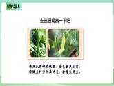 新粤教版科学六上：4.17《生物的遗传现象》PPT课件+教案+练习