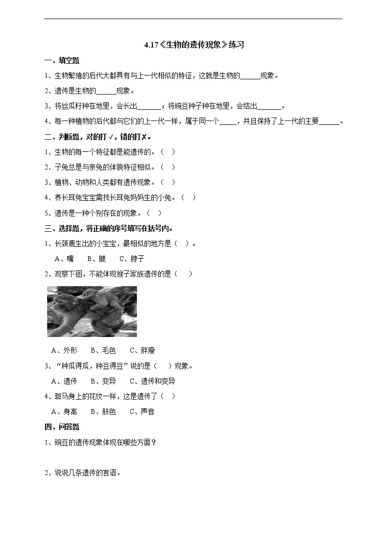 4.17《生物的遗传现象》练习第1页