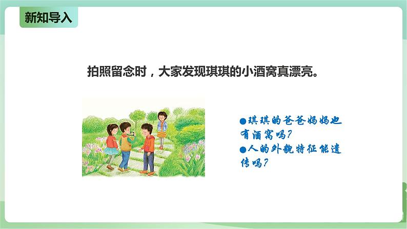 新粤教版科学六上：4.18《专题探究：外貌特征能遗传吗》PPT课件+教案+练习02