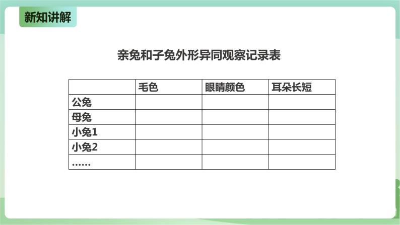 新粤教版科学六上：4.19《生物的变异现象》PPT课件+教案+练习+视频素材04