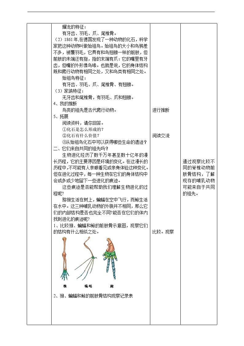 4.20《生物进化的证据》教案第2页