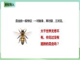 新粤教版科学六上：4.21《自然选择》PPT课件+教案+练习+视频素材