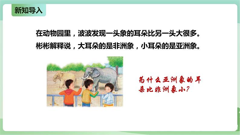 新粤教版科学六上：4.22《环境变化与生物进化》PPT课件+教案+练习02