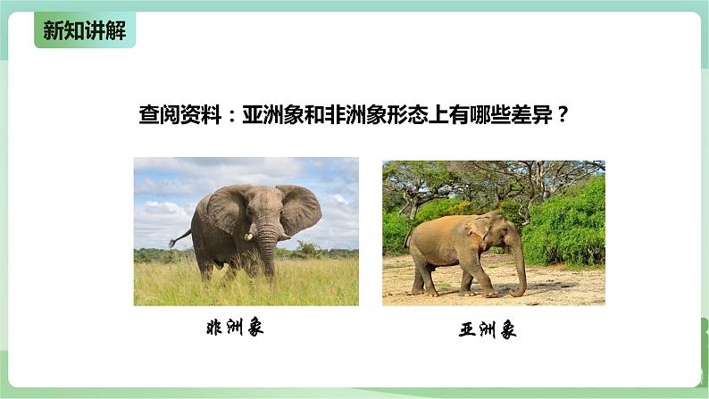 新粤教版科学六上：4.22《环境变化与生物进化》PPT课件+教案+练习04