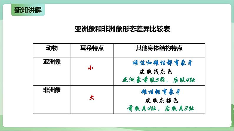 新粤教版科学六上：4.22《环境变化与生物进化》PPT课件+教案+练习05