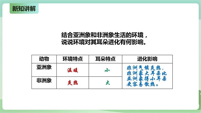 新粤教版科学六上：4.22《环境变化与生物进化》PPT课件+教案+练习06