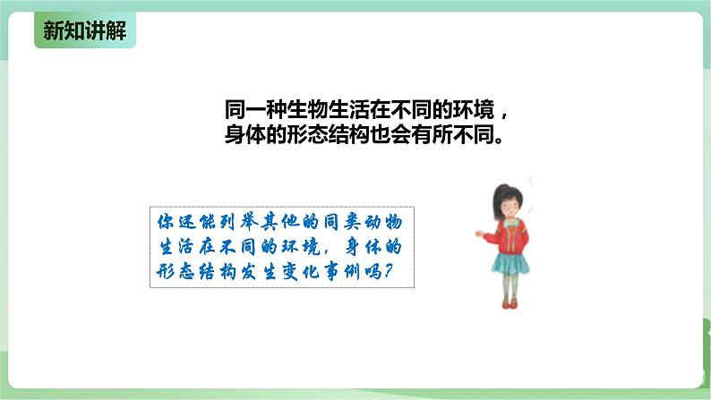 新粤教版科学六上：4.22《环境变化与生物进化》PPT课件+教案+练习07