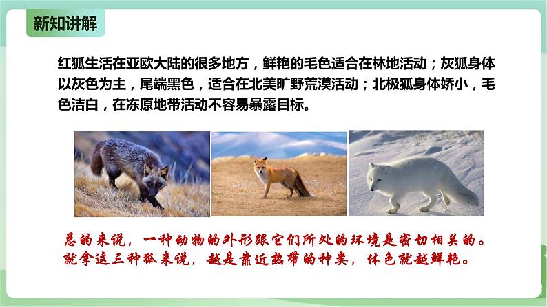 新粤教版科学六上：4.22《环境变化与生物进化》PPT课件+教案+练习08