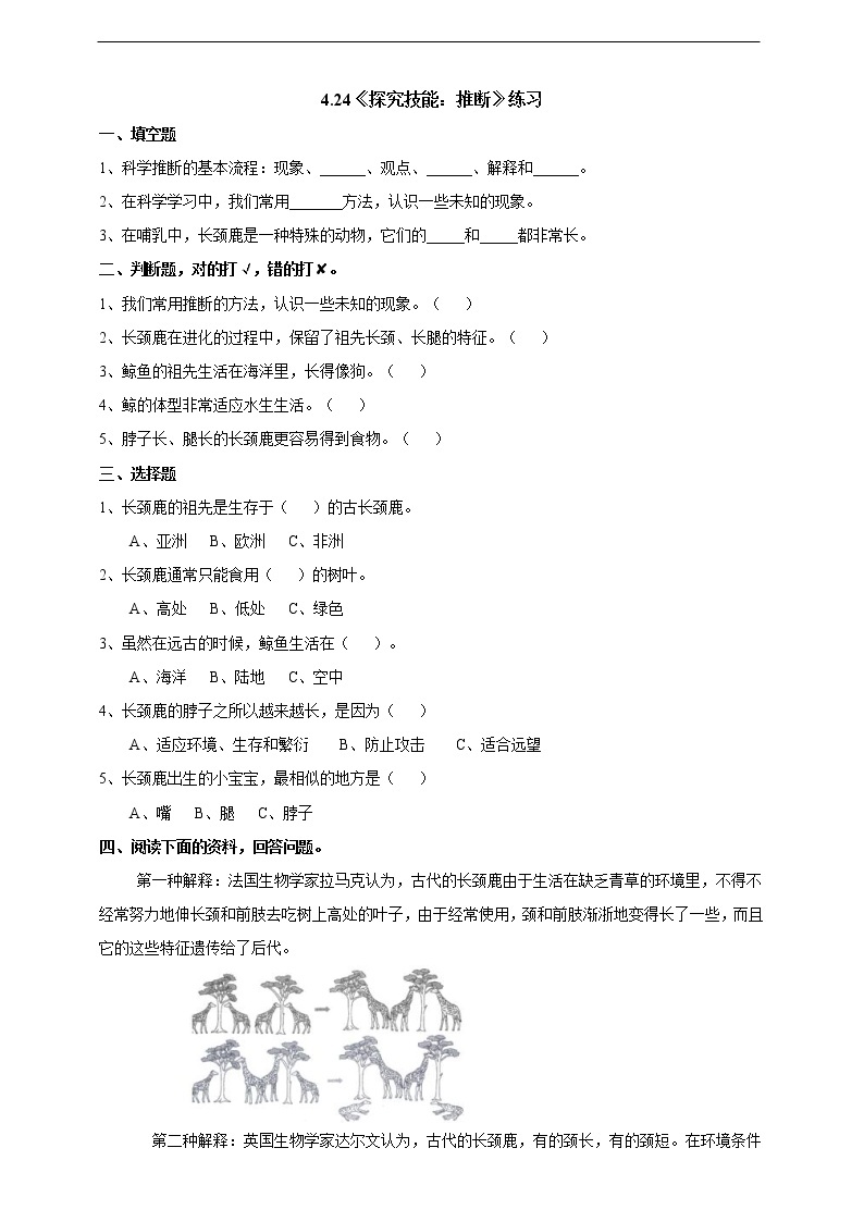 新粤教版科学六上：4.24《探究技能：推断》PPT课件+教案+练习01