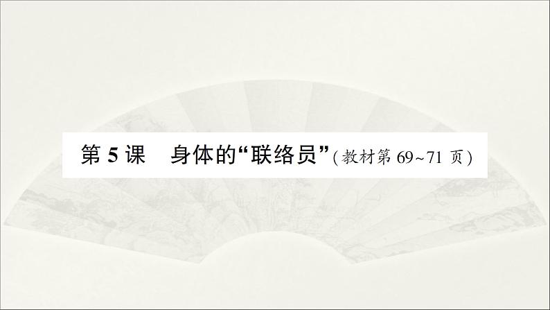 小学科学教科版五年级上册第四单元第5课《身体的“联络员”》作业课件（2021新版）01