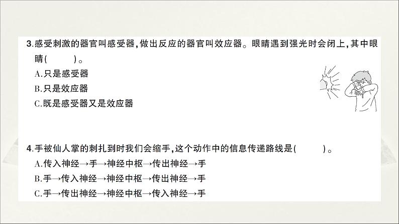 小学科学教科版五年级上册第四单元第5课《身体的“联络员”》作业课件（2021新版）04