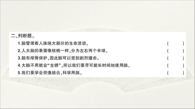 小学科学教科版五年级上册第四单元第4课《身体的“总指挥”》作业课件（2021新版）03