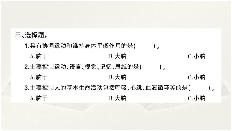 小学科学教科版五年级上册第四单元第4课《身体的“总指挥”》作业课件（2021新版）04