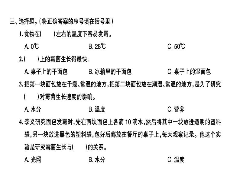 面包发霉了PPT课件免费下载03