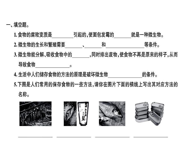 科教版四年级下册科学 第6课时减慢食物变质的速度 习题课件（无答案）第1页